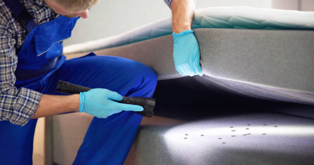 Best Residential Pest Control  in Webster, SD