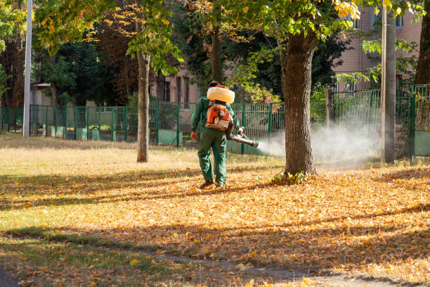 Best Local Pest Control Services  in Webster, SD