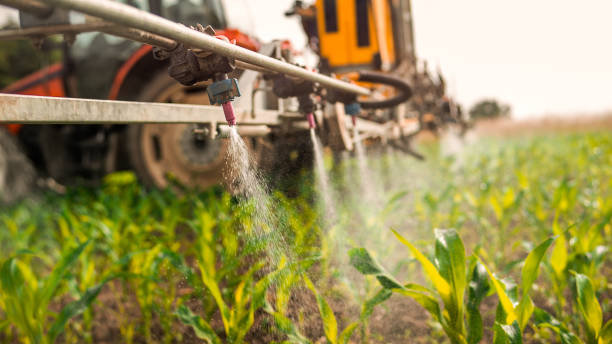 Best Wildlife Control Services  in Webster, SD
